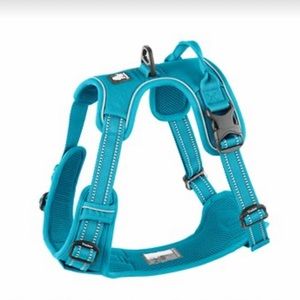 New Chai’s Choice harness!